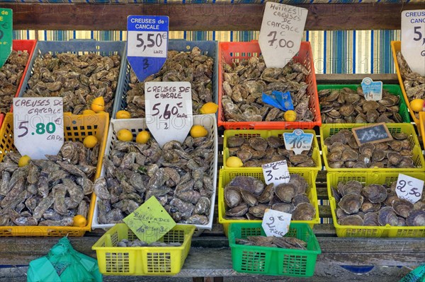 Market stall with oysters in the port of Cancale