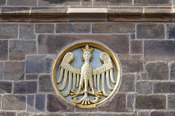 Eagle with golden crowned royal head