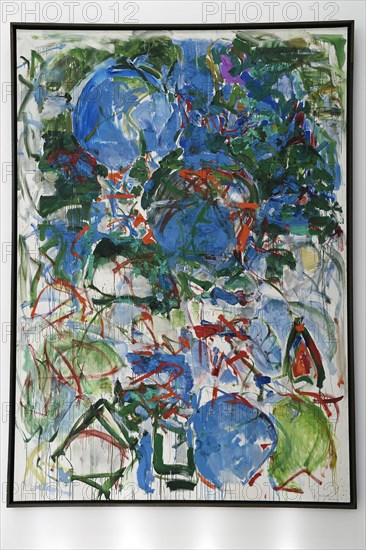 Joan Mitchell