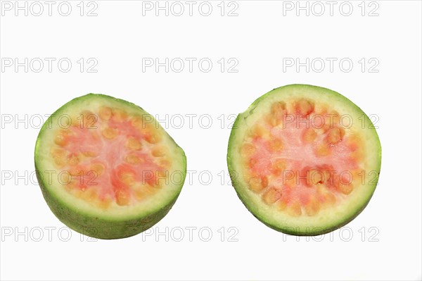 Common Guava