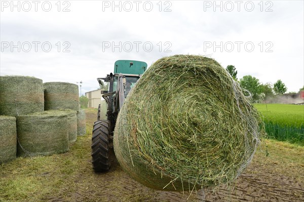 Farmer harvesting alfalfa