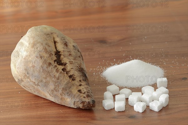 Sugar beet and white sugar