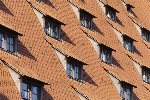 Dormer windows on roof