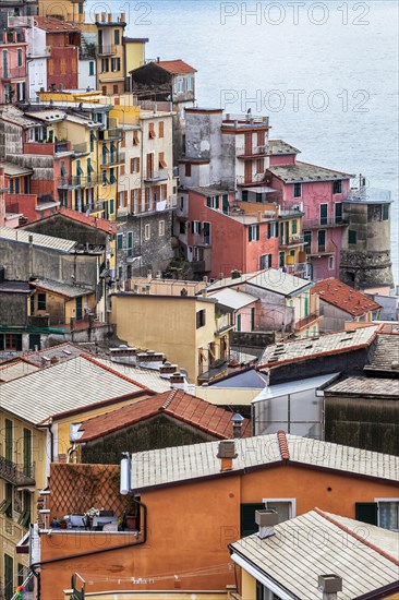 Manarola