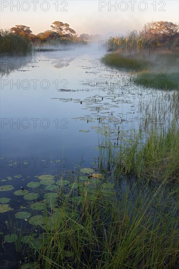 Kwando River