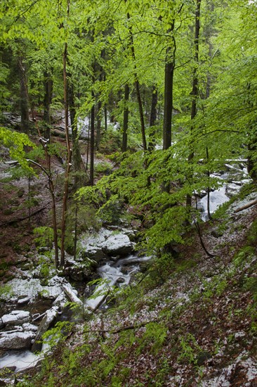 Hoellbach in May with snow
