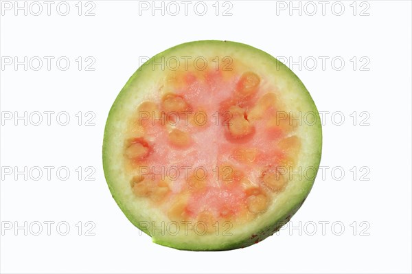 Common Guava