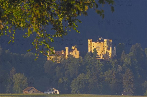 Hohenschwangau Castle