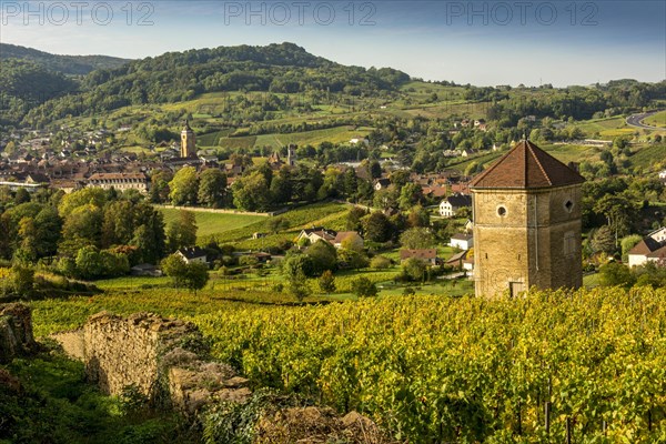 View of the village of Arbois and La Tour du Curon located in the vineyards of Arbois