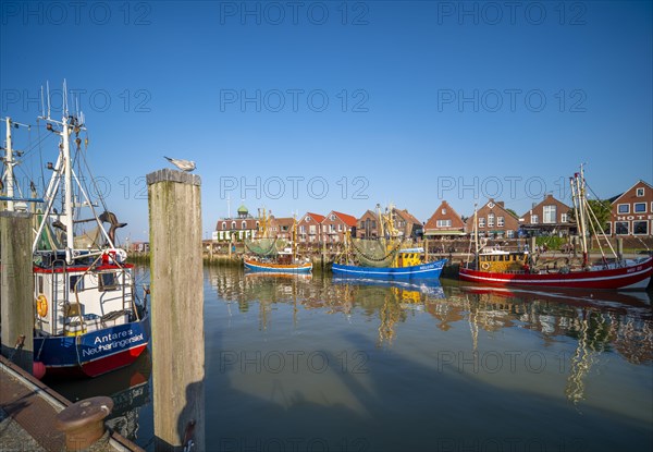 Kutterhafen Neuharlingersiel