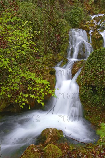 River Urederra