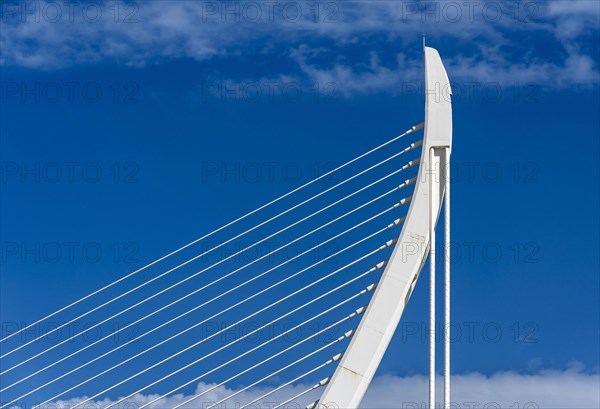 Cable-stayed Assut de l'Or Bridge