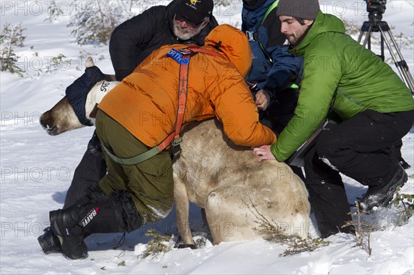 Team of Quebec's minister of natural ressources