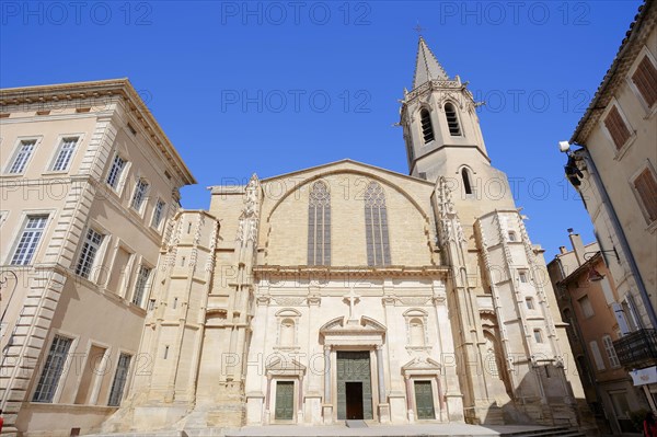 Gothic Cathedral Saint-Siffrein