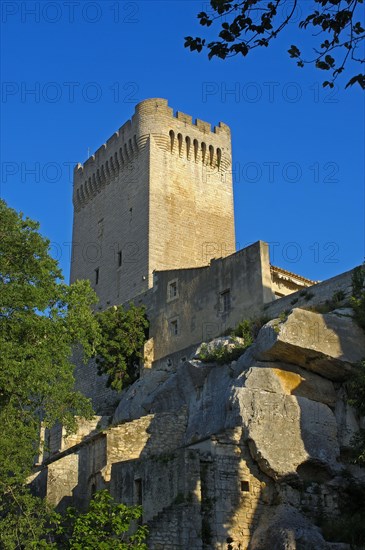 Montmajour Abbey