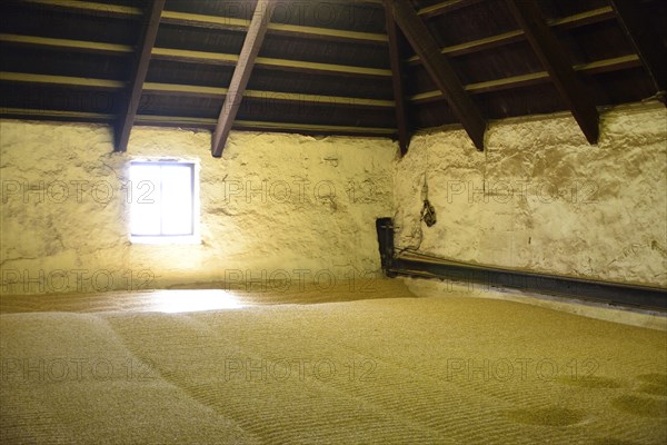 Malting Floors