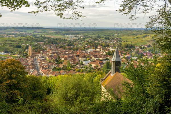 View to the wine town Arbois