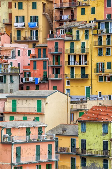 Manarola