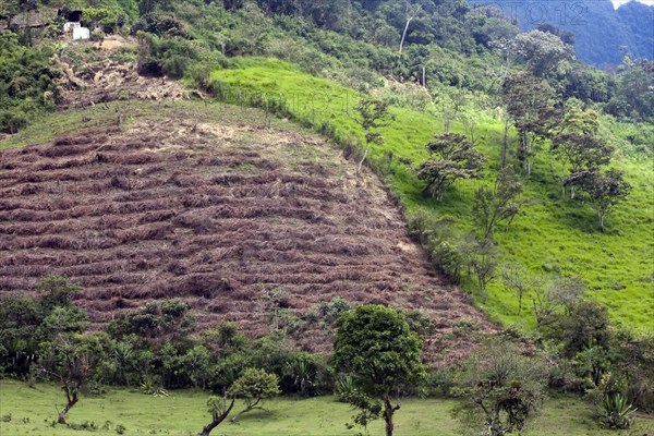 Agricultural land