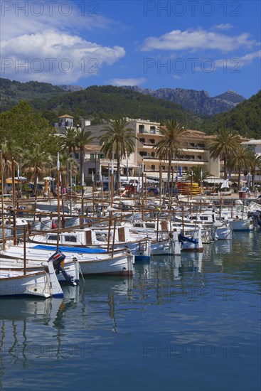 Soller