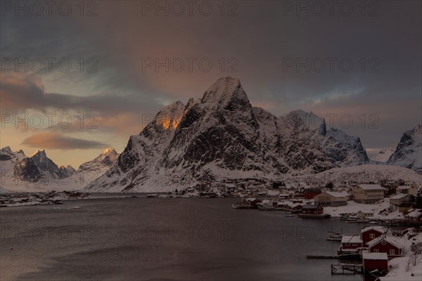 Reine