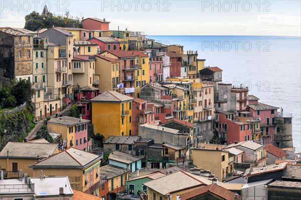 Manarola