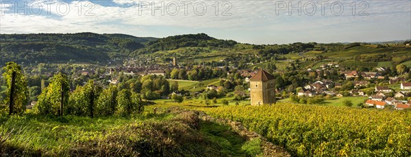 View of the village of Arbois and La Tour du Curon