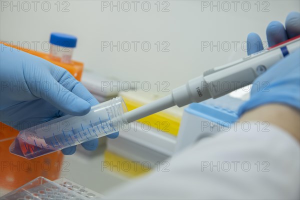 Medical laboratory assistant takes samples from a centrifuge tube with a pipette