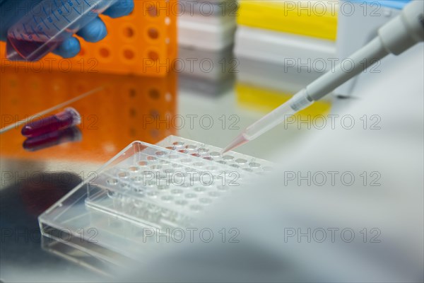 Medical laboratory assistant fills samples onto a multiwell tray with a pipette