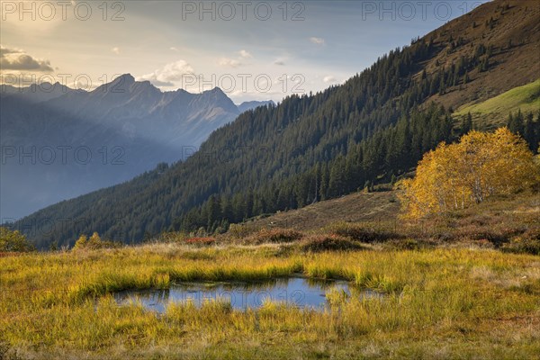 Autumn mountain landscape with small pond