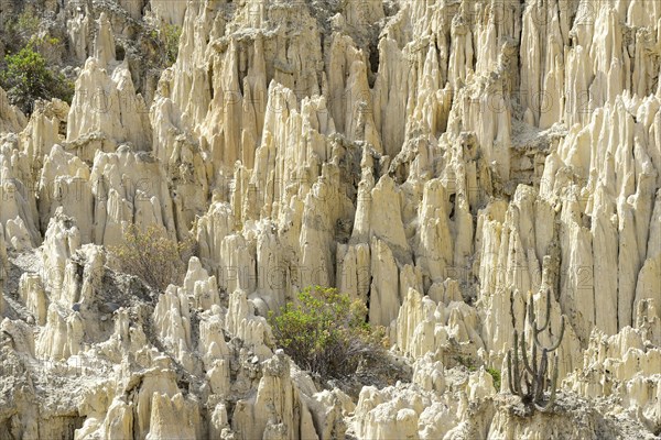 Bizarre rock formations in Valle de la Luna
