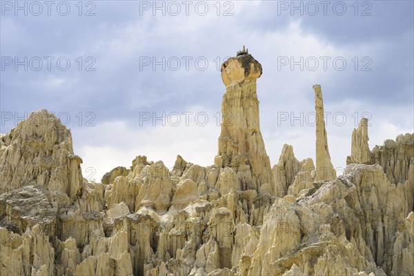 Bizarre rock formations in Valle de la Luna