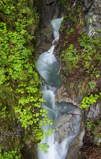Mountain stream flowing through a narrow gorge