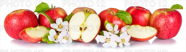 Apples fruits red apple fruit with flowers and leaves in a row crop isolated