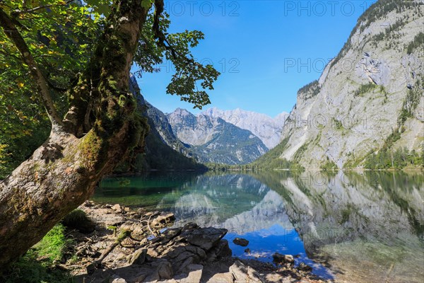 View from the Obersee to the Watzmann