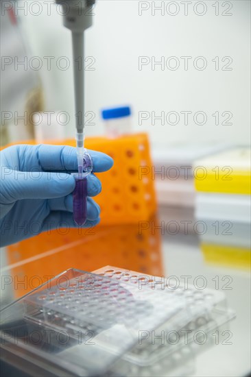 Medical laboratory assistant takes samples from a reaction vessel and fills them into a multiwell tray with a pipette