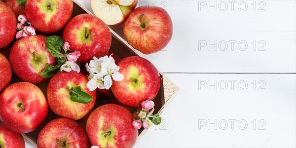 Apples Fruits red apple fruit with blossoms and leaves on wooden board from above with text free space Copyspace Panorama