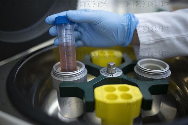 Hand of a medical laboratory assistant takes a centrifuge tube with liquid out of the centrifuge