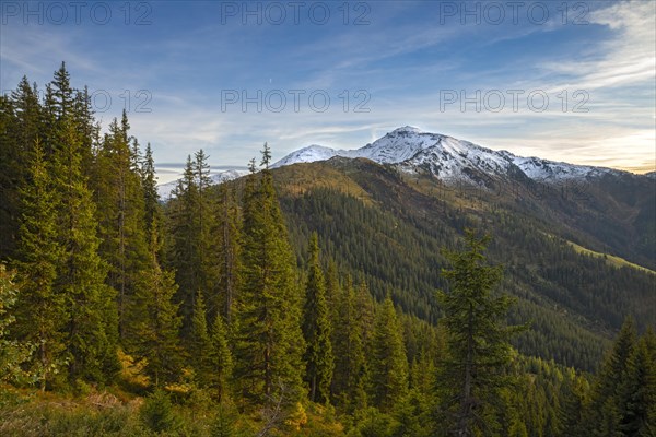 Autumnal mountain landscape with spruces