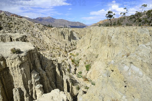 Bizarre rock formations in Valle de la Luna