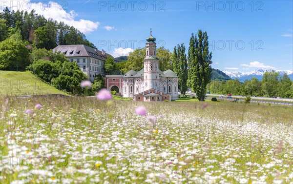 Flower meadow in front of the monastery St. Karl