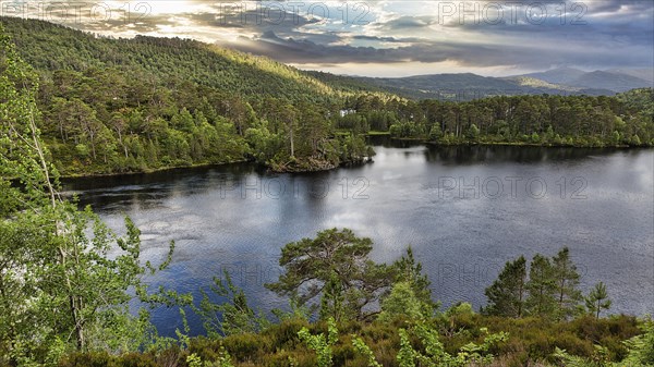 Glen Affric Nature Reserve