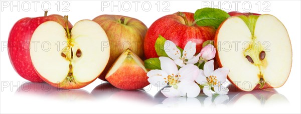 Apples fruits red apple fruit with flowers and leaves isolated