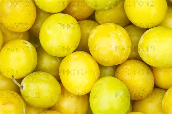 Mirabelle fruit Mirabelle fruit Yellow plum Plum Background