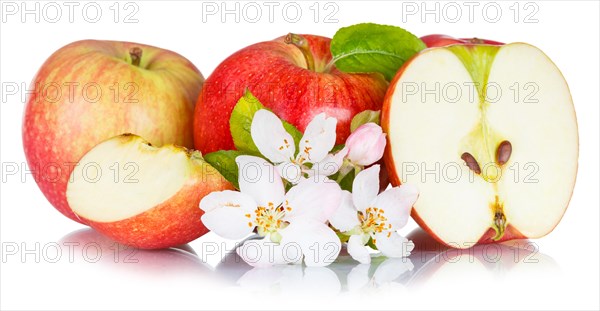 Apples fruits red apple fruit with flowers and leaves isolated