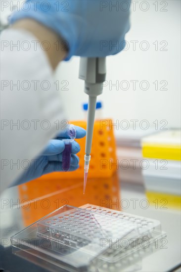 Medical laboratory assistant takes samples from a reaction vessel and fills them into a multiwell tray with a pipette