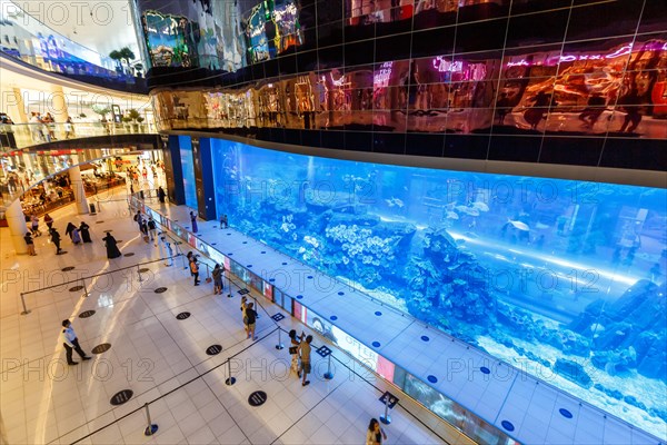 Dubai Mall Aquarium Luxury Shopping Shopping in Dubai