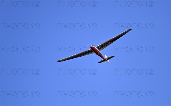 Glider Ly-542-K Stoesser