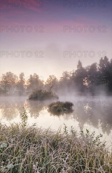 Autumnal morning mood at a pond in the nature reserve Wildert in Illnau