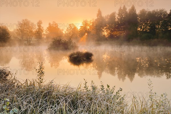 Autumnal morning mood at a pond in the nature reserve Wildert in Illnau